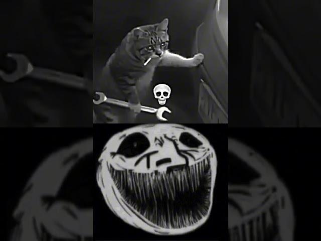 cat mechanic  | trollface meme