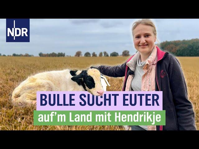 Tapetenwechsel für die Kühe | NDR auf'm Land mit Hendrikje