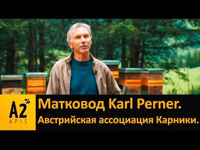 Матковод Карл #Пернер, Австрийская Ассоциация #Карники (#АСА)