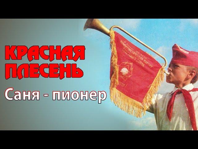 Красная Плесень - Саня-пионер | Лучшие песни