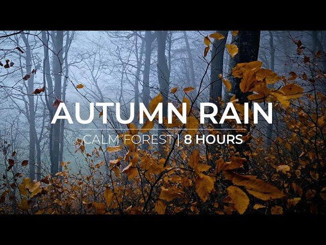 Autumn Rain | 8 Hours of soft rain for Relaxation & Meditation