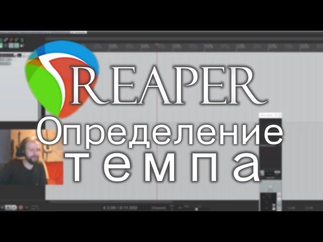 REAPER - Определение темпа / переменный темп