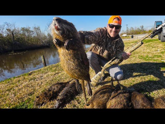 These Rodents Aren't SUPPOSED To Be HERE | Nutria CATCH and COOK