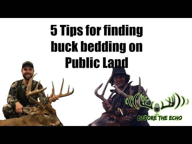 5 Tips on Finding Buck Beds on Public Land