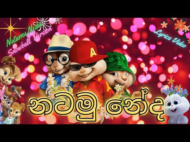 Natamu Neda (නටමු නේද ) | Tashni Perera | Snowball Version | Lyrics Video