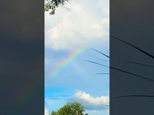 ️SomeWhere… BEFORE the Rainbow #shorts #rainbowsky #rainbow #trippyvideo