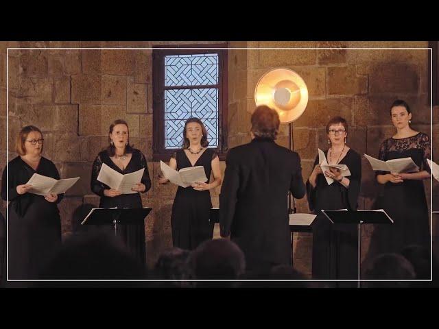 Allegri: Miserere | Peter Phillips & Tallis Scholars