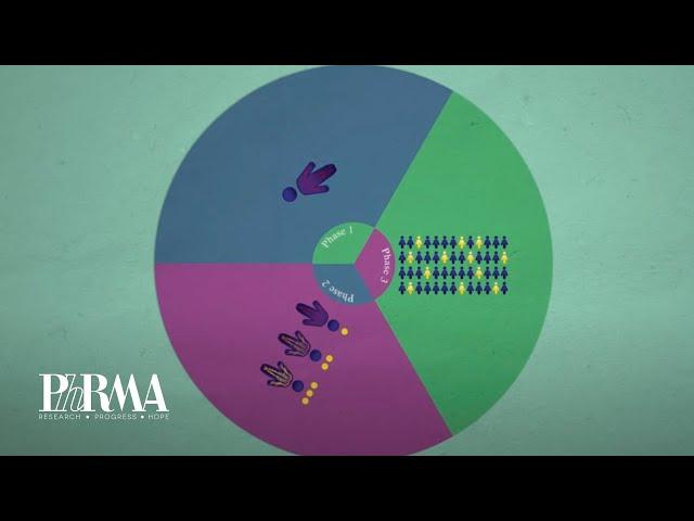 The Drug Discovery Process