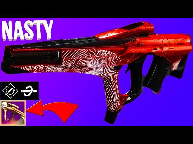 Sacred Provenance Is S-Tier (Aggressive Burst Pulse Rifle Meta?) Destiny 2