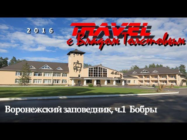 Воронежский заповедник (ч.1 Бобры) - Travel с Владом Толстовым