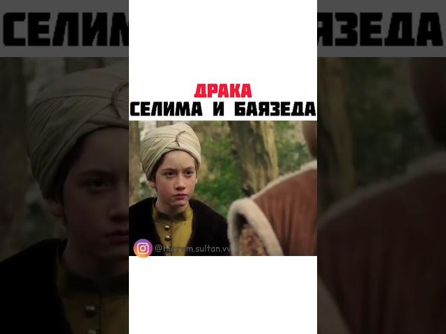 Драка Селима и Баязеда 