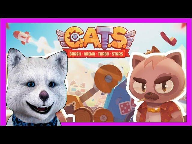 КОТЯТА НА СУПЕР ТАЧКАХ  CATS Crash Arena Turbo Stars  МЕДВЕЖОНОК МАРСИК КРУТОЙ ЛЕТСПЛЕЙ