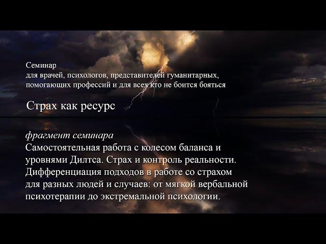 Самостоятельная работа с «колесом баланса» и уровнями Дилтса. Экстремальная психология