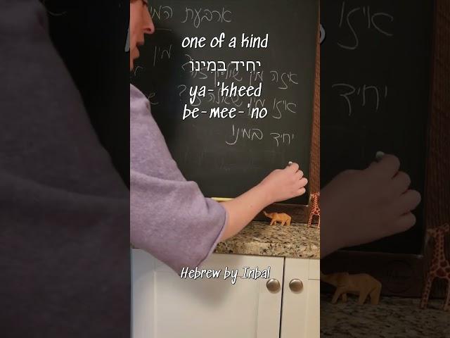 The Four Species Hold the KEY to Conversational Hebrew!