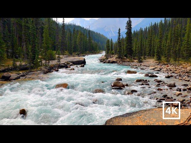 4K Mistaya River Rapids | Banff National Park | Canadian Rockies | Water Sounds White Noise