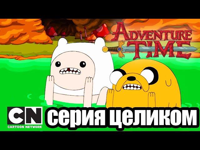 Время приключений | За гротом + Я - Мечь (серия целиком) | Cartoon Network