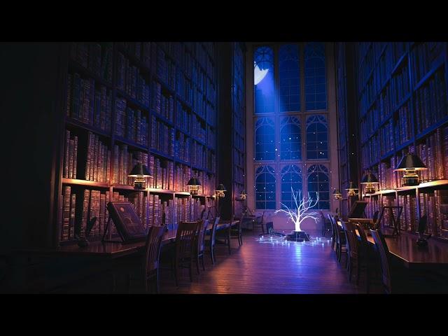 Enchanting Magic Library - Music & Ambience 🪄