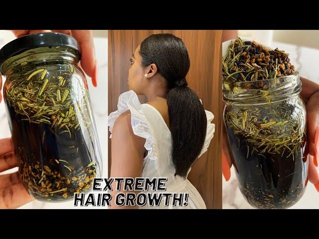 The Most Potent Hair Growth Oil Do Not Wash It Out for Extreme Hair Growth