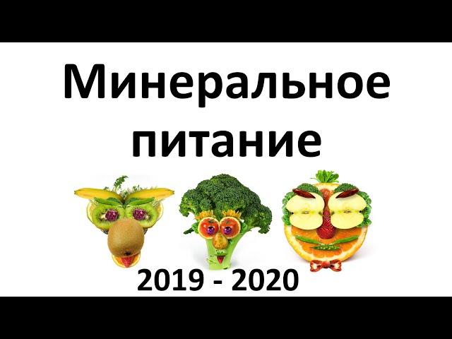 9. Минеральное питание (6 класс) - биология, подготовка к ЕГЭ и ОГЭ 2020