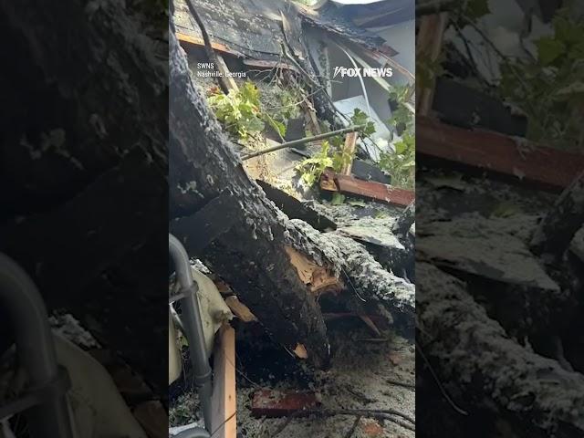 Bible left completely untouched after Hurricane Helene rips through woman's home