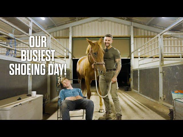 Our Busiest shoeing day EVER! Day in the life of a Farrier in Yorkshire