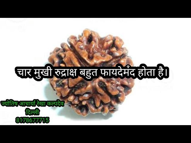 4 मुखी रुद्राक्ष लाभ। four face rudraksha benefits । रुद्राक्ष कैसे रोग ठीक करता है। रुद्राक्ष महत्व