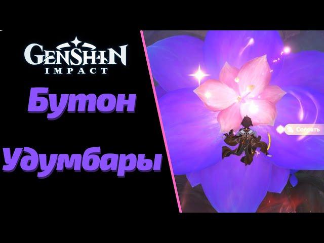 ВСЕ БУТОНЫ УДУМБАРЫ |  ГДЕ НАЙТИ И КАК ПОЛУЧИТЬ | GENSHIN IMPACT