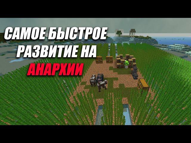 САМОЕ БЫСТРОЕ РАЗВИТИЕ на СЕРВЕРЕ АНАРХИЯ | ВАЙП НА АНАРХИИ MST NETWORK | Анархия ХолиВорлд