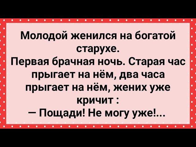 Молодой Женился На Богатой Старухе! Сборник Свежих Анекдотов! Юмор!