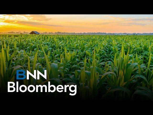 Agtech unicorn Semios uses AI to help farmers save water, reduce chemical inputs