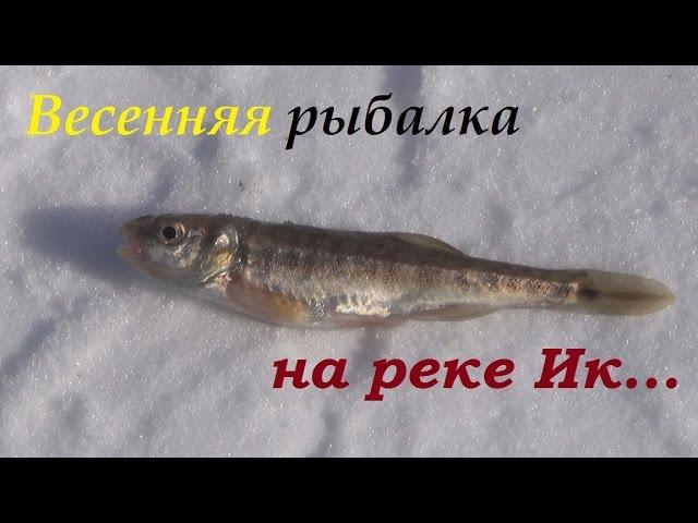 Весенняя рыбалка на реке Ик. 6-7 марта 2016.