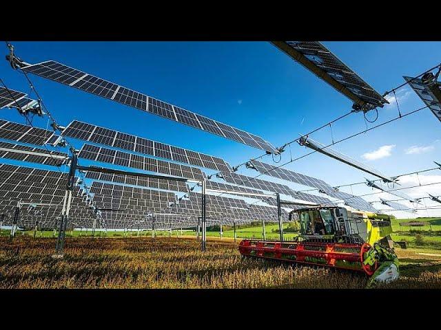 French farmers are covering crops with solar panels to produce food and energy at the same time