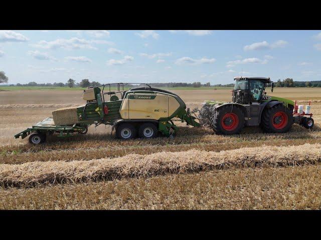 CLAAS XERION 4200 mit KRONE BiGPACK 1290 & BaleCollect am Quaderballenpressen  / 4K