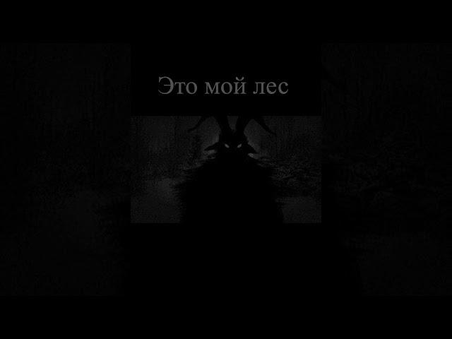 Когда зашёл в раст в первый раз)#shortsvideo #shortvideo #subscribe #meme #rust