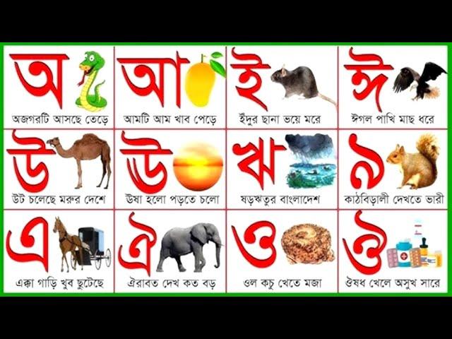 স্বরবর্ণ ব্যঞ্জনবর্ণ অ আ ক খ | Bangla Sorborno Banjonborno | অ'য় অজগর আসছে তেড়ে |Bangla Bornomala