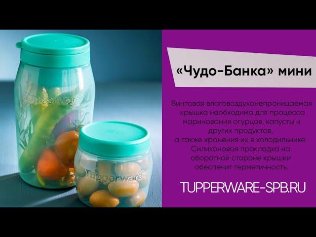 «Чудо-банка» 825 мл и 325 мл / идеальное хранение и транспортировка / www.tupperware-spb.ru