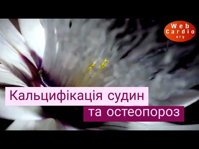 Кальцифікація судин та остеопороз: роль вітаміну К. Коли невидиме стає зрозумілим. Головач І.Ю.