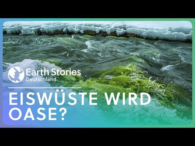 Ist die Antarktis bald eine grüne Oase? | Doku | Earth Stories Deutschland