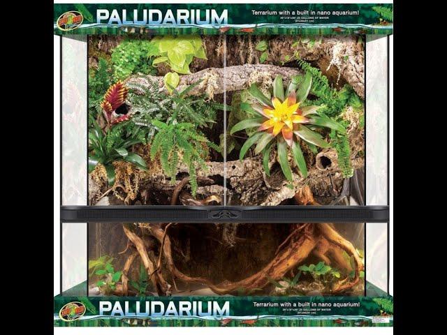 Zoo Med Paludarium Review 36x18x36