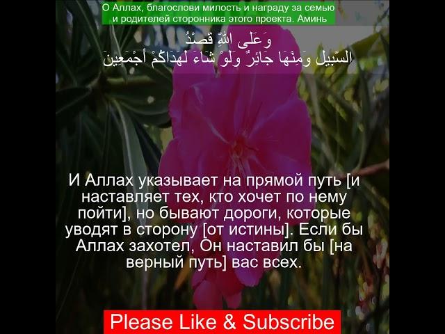 Коран Сура Ан-Нахль | 16:9  | Чтение Корана с русским переводом| Quran Translation in Russian