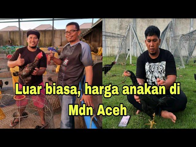 Fantastis , inilah harga anakan di Mdn Aceh