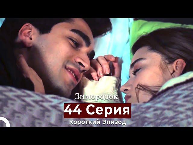 Зимородок 44 Cерия (Короткий Эпизод) (Русский дубляж)