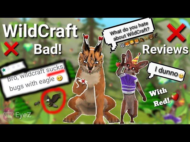 Reading 5 BAD WildCraft reviews