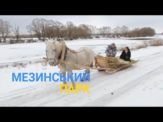 Мезинський національний парк - Природне диво Чернігівщини | Україна вражає