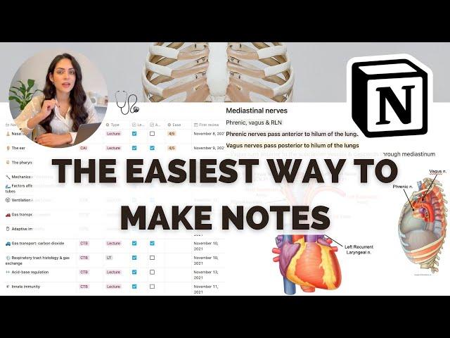 How I Use Notion to Take Effective Notes **As A Medical Student**