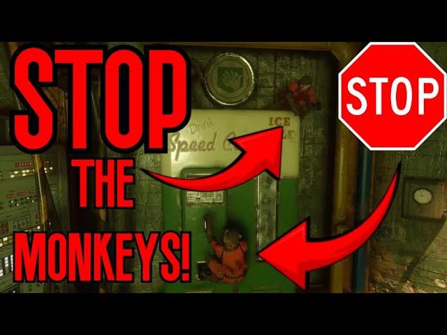 How to STOP THE MONKEYS from Stealing your Perks on Ascension!