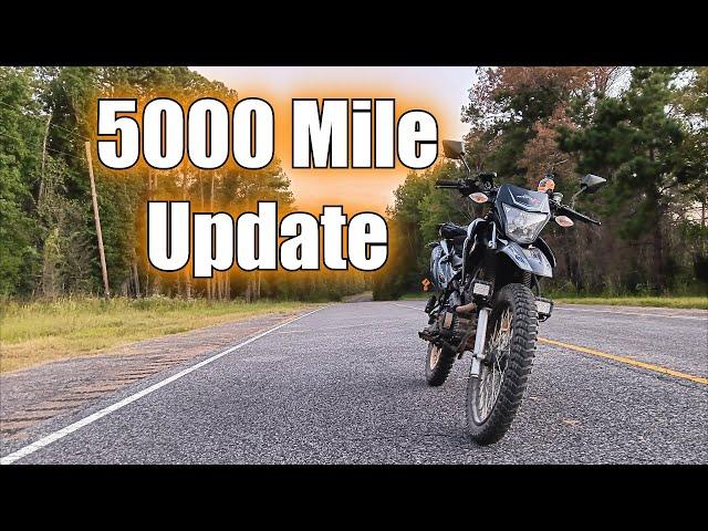 Hawk X 250 5K Update