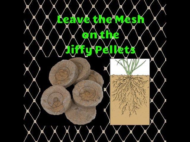 Leave the Netting on Your Jiffy Pellets