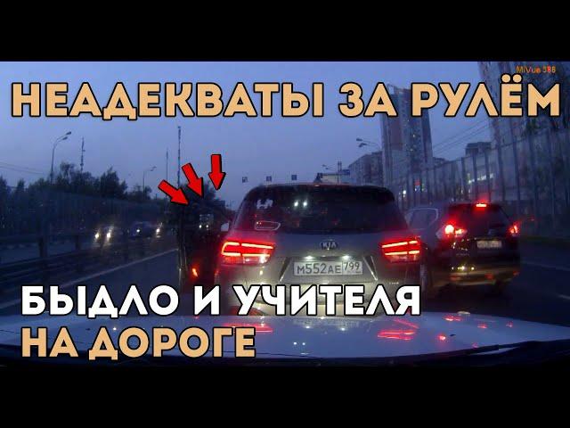 Быдло и Учителя на Дороге|Неадекваты за Рулём#1