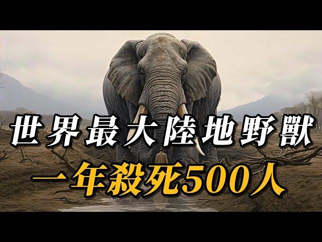 全世界最大的10種陸地野獸，第四名壹年殺死500人，第壹名體重高達10噸，天生的草原霸主！#animals #野生动物 #科普 #野生生物#动物#涨知识